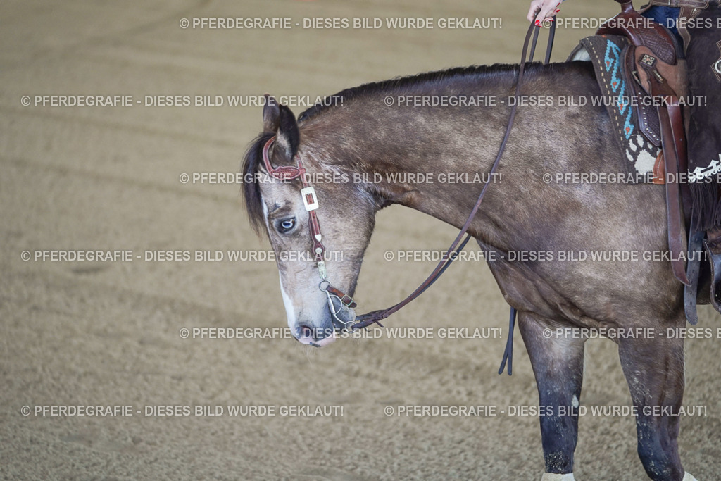 DSC00140 | Pferdegrafie