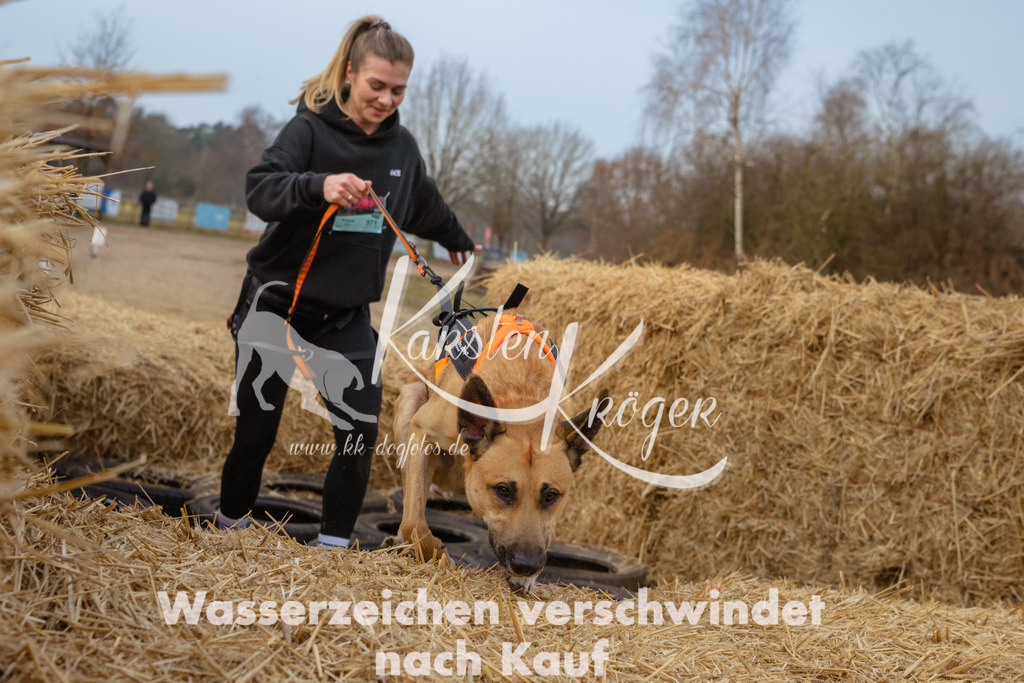 0831_ZZ93240 | kk-dogfotos