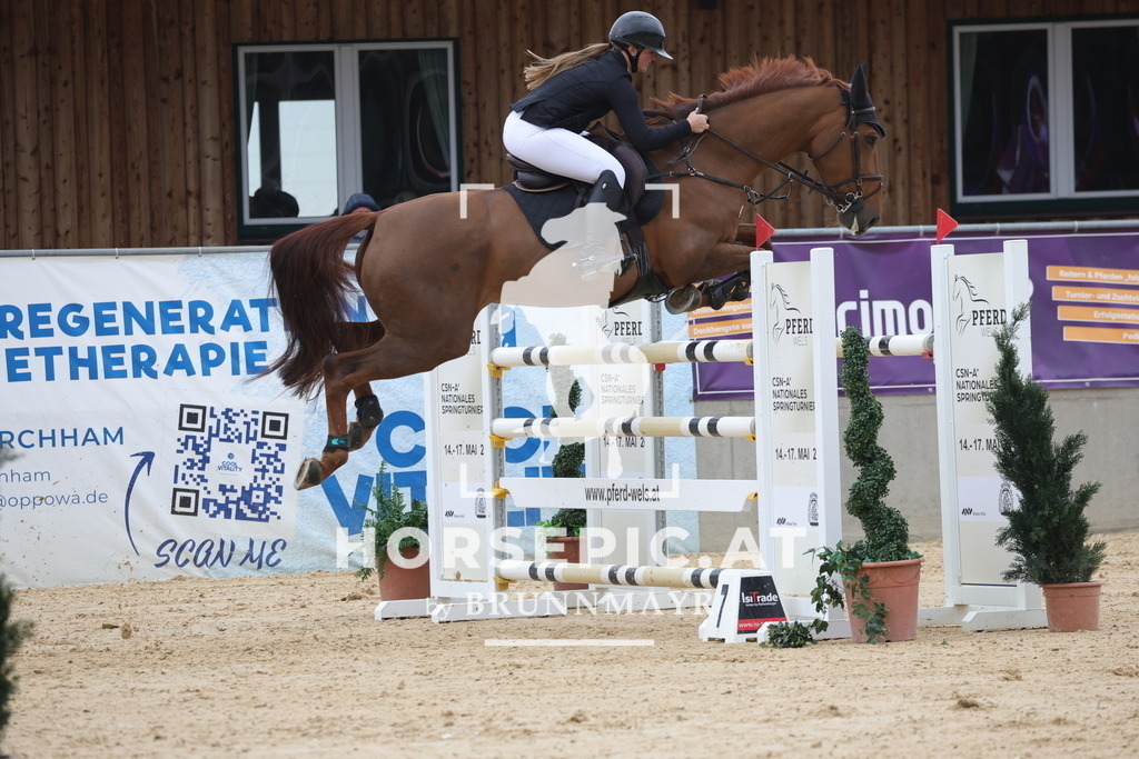 0P6A5962 | Willkommen bei Brunnmayr - Design & Fotografie – Ihrem Spezialisten für Reitturniere und Pferdeveranstaltungen in Oberösterreich, Salzburg und Bayern! Seit über 17 Jahren sind wir leidenschaftlich dabei.