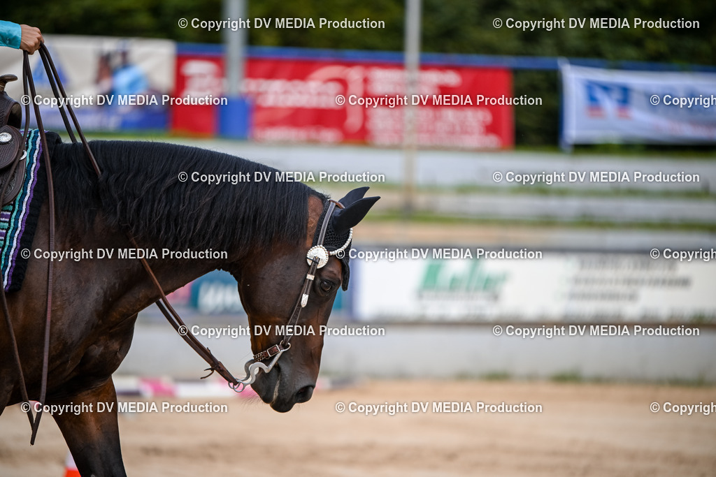 ZS1_3366 | dv-media-shop - Realisiert mit Pictrs.com