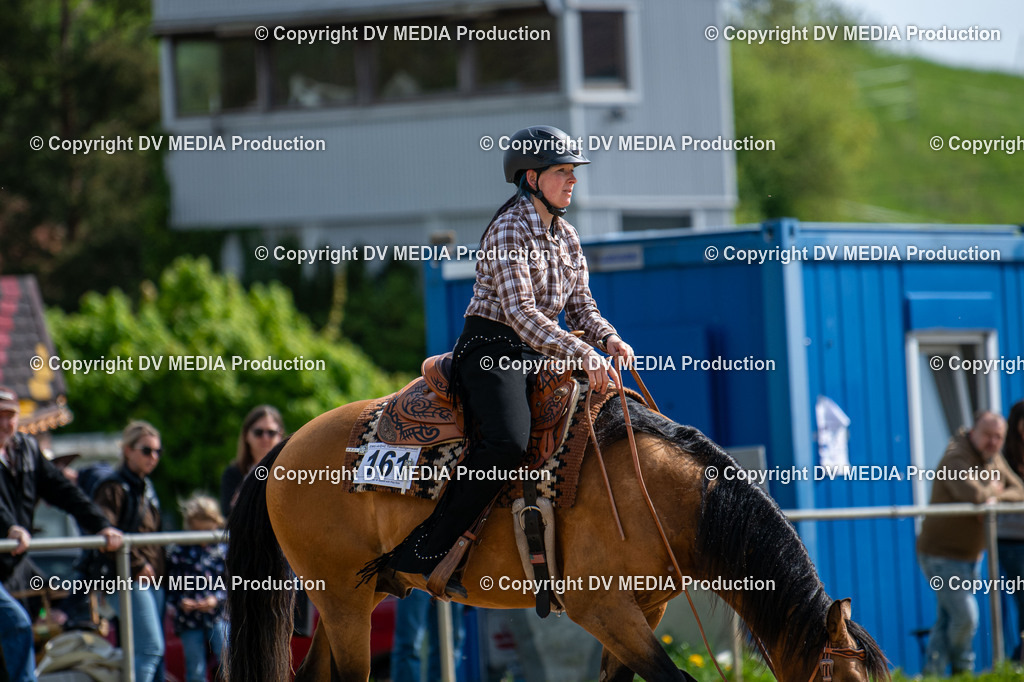 Heiligenwald Tag 3-810 | dv-media-shop - Realisiert mit Pictrs.com