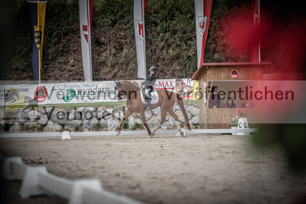 DSC_3218 | equestrian-live-com