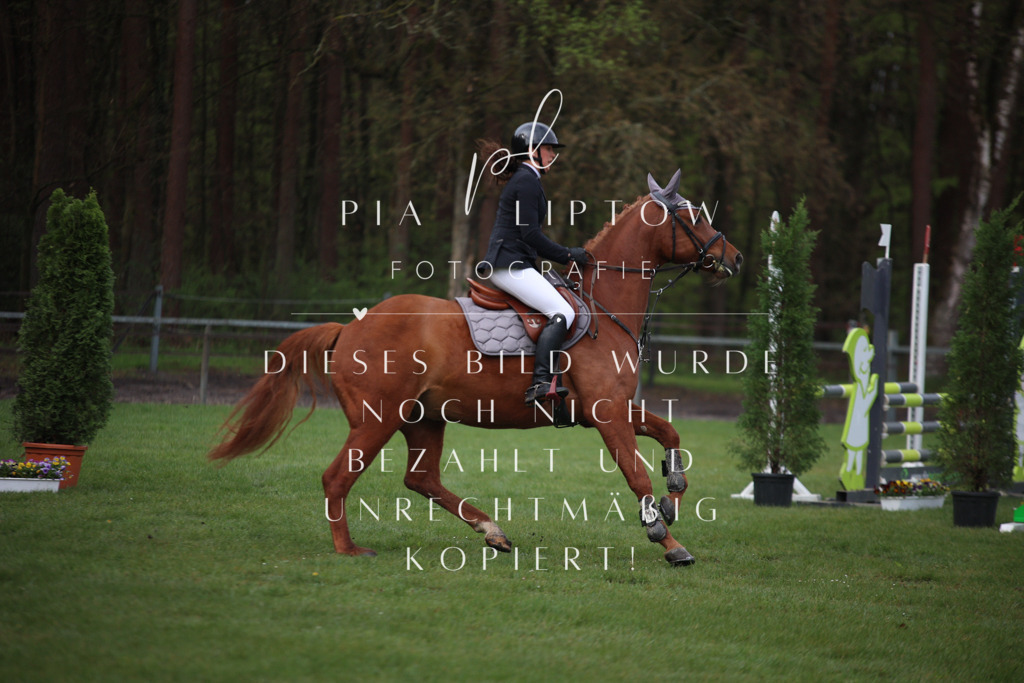 IMGT2319 | pl-fotografie