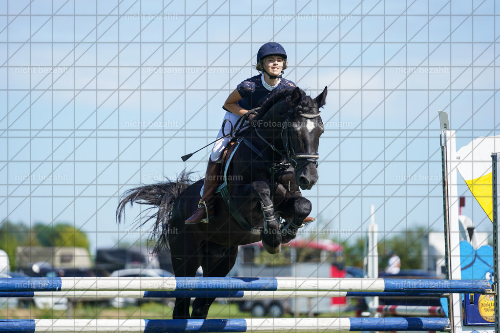 20230917-FAH09447 | Landsberg am Lech, 2023, Kaufbeuren, Kempten, Allgäu, Turnierfotografen Bayern, Fotoagentur Herrmann, Turnierbilder, Reitsport Fotos, Pferdefotograf, Augsburg, Bad Tölz, Dachau, Karlsfeld, Memmingen, Buchloe, Schwabmünchen