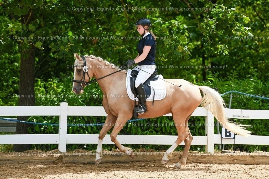 20230715_09_Dressur-WB_0547 | equistock