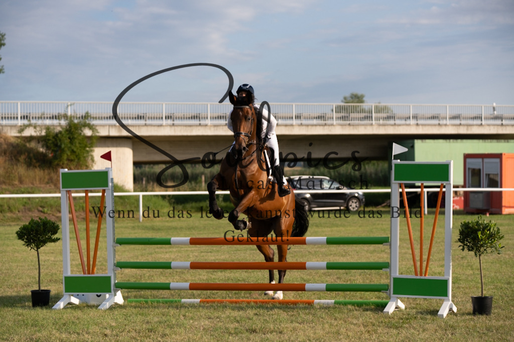 A7V01136 | Pferdefotograf