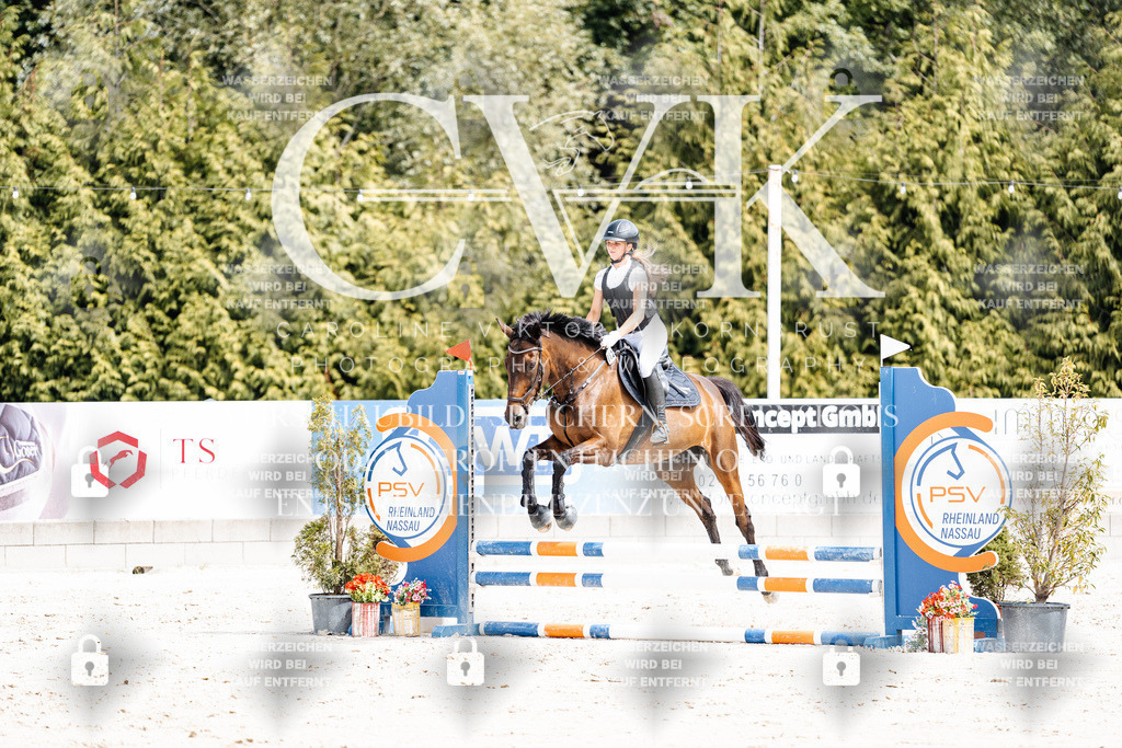 CK906714 | Turnierfotografie Pferdefotografie Trier Rheinland-Pfalz Pferdesport Reitsport Tierfotografie Sportfotografie Pferdevideo Pferdevideografie Equestrianvideography equestrianphotography  - Realisiert mit Pictrs.com