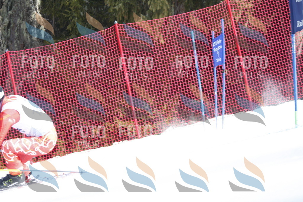 D7479 | holidayphoto