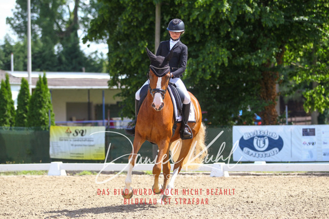 DKP42588 | Turniersportfotografie; Pferdefotografie; Dressurfotografie