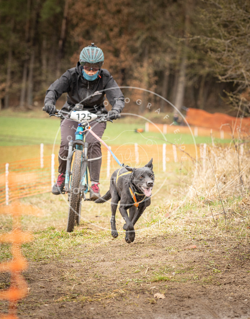 DV3A1165 | Hundefotografie, Tierfotograf, Pfotenfotografie, Fotoshooting Hund, Hunde Portrait, Hundesport, Hundeportraits, Heideshooting, Hunde, Sportfotograf, Hundefotograf, Turnierhundsport, THS,  - Realisiert mit Pictrs.com