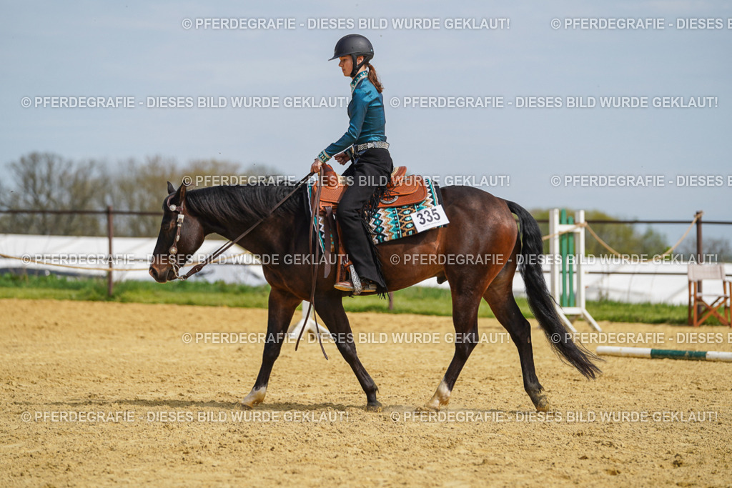 DSC04354 | Pferdegrafie