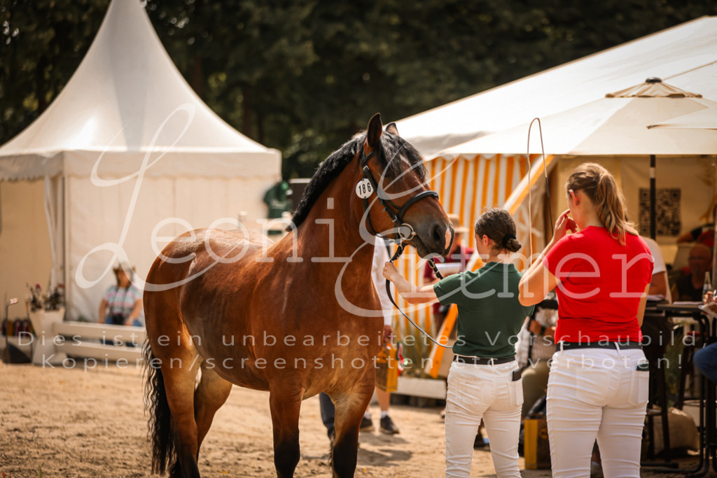 2.Sa00097 | Leoni Ertmer Photography - Realisiert mit Pictrs.com