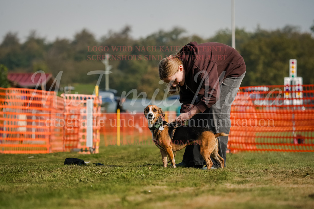 20250928_Hunderennen-183 | MuT (Mensch und Tier) mit Mona - Fotografie und Tierkommunikation - Realisiert mit Pictrs.com