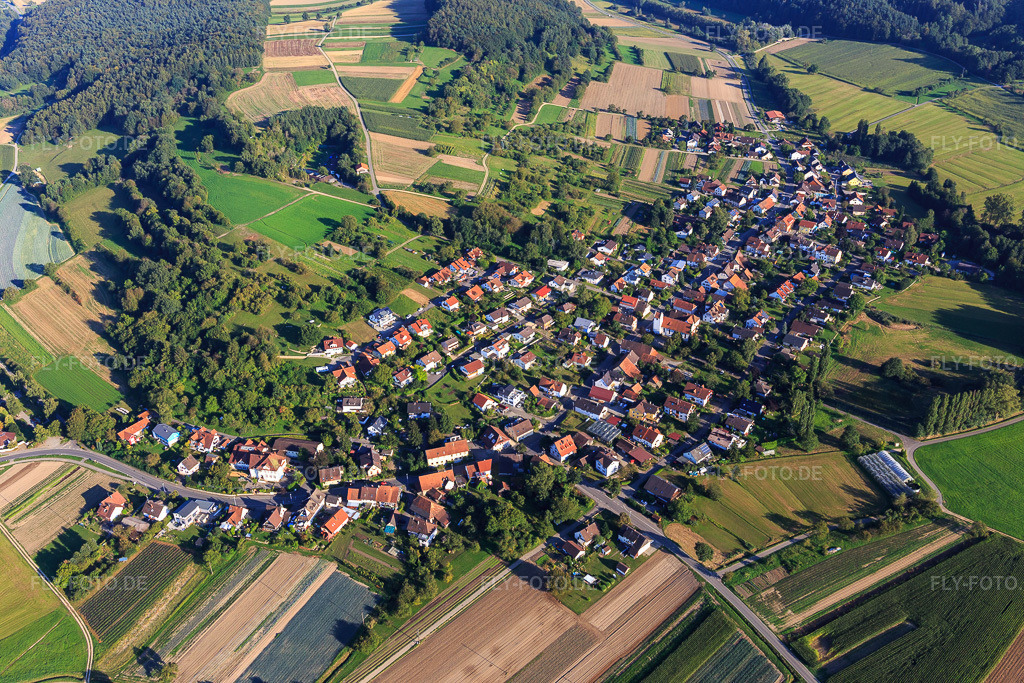 Luftbild: Ortsansicht aus Norden im Ortsteil Weiler in Moos im Bundesland Baden-Württemberg in Deutschland. Foto: IMG_094300.jpg vom 27.08.2016 durch Werner Riehm/FLY-FOTO.de