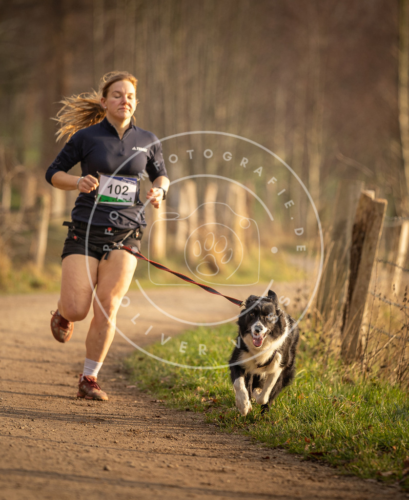 Pfotenfotografie_DV3A4627 | Hundefotografie, Tierfotograf, Pfotenfotografie, Fotoshooting Hund, Hunde Portrait, Hundesport, Hundeportraits, Heideshooting, Hunde, Sportfotograf, Hundefotograf, Turnierhundsport, THS,  - Realisiert mit Pictrs.com