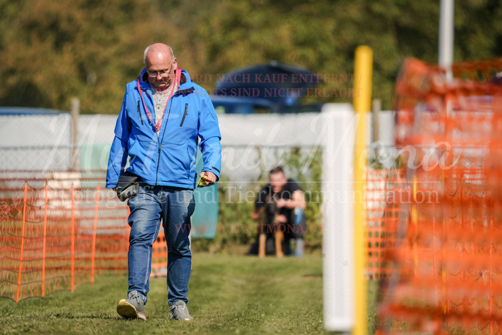 20250928_Hunderennen-690 | MuT (Mensch und Tier) mit Mona - Fotografie und Tierkommunikation - Realisiert mit Pictrs.com