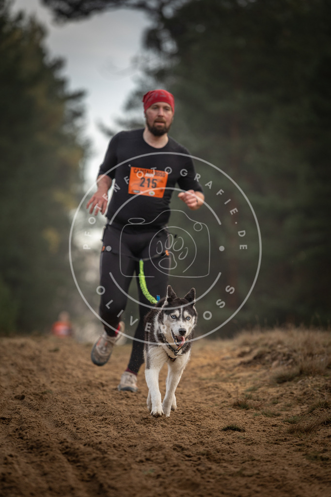 Pfotenfotografie_DV3A5270 | Hundefotografie, Tierfotograf, Pfotenfotografie, Fotoshooting Hund, Hunde Portrait, Hundesport, Hundeportraits, Heideshooting, Hunde, Sportfotograf, Hundefotograf, Turnierhundsport, THS,  - Realisiert mit Pictrs.com