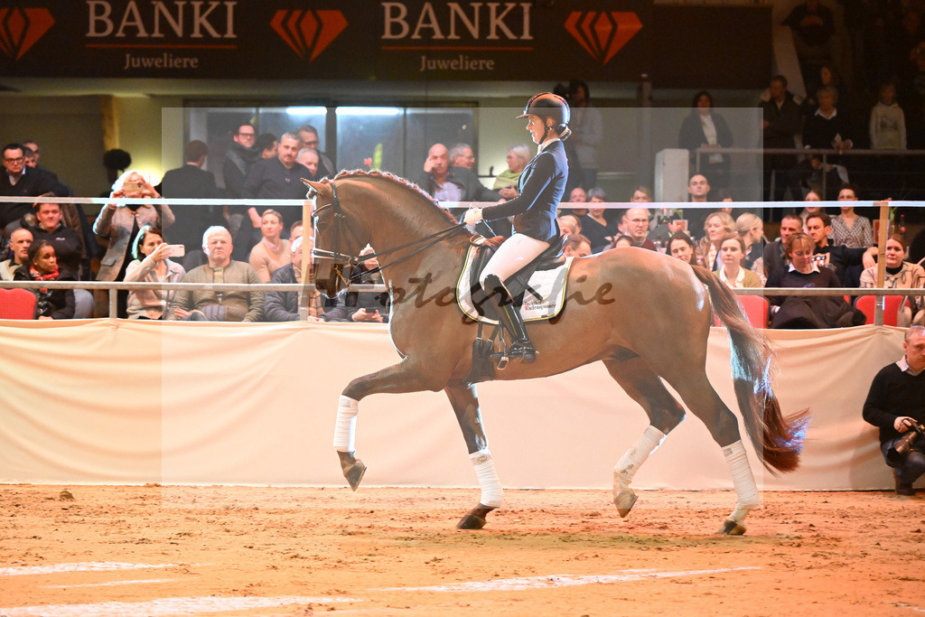 DSP Va Bene_Wadenspanner_1234125 | hf-fotografie - Realisiert mit Pictrs.com