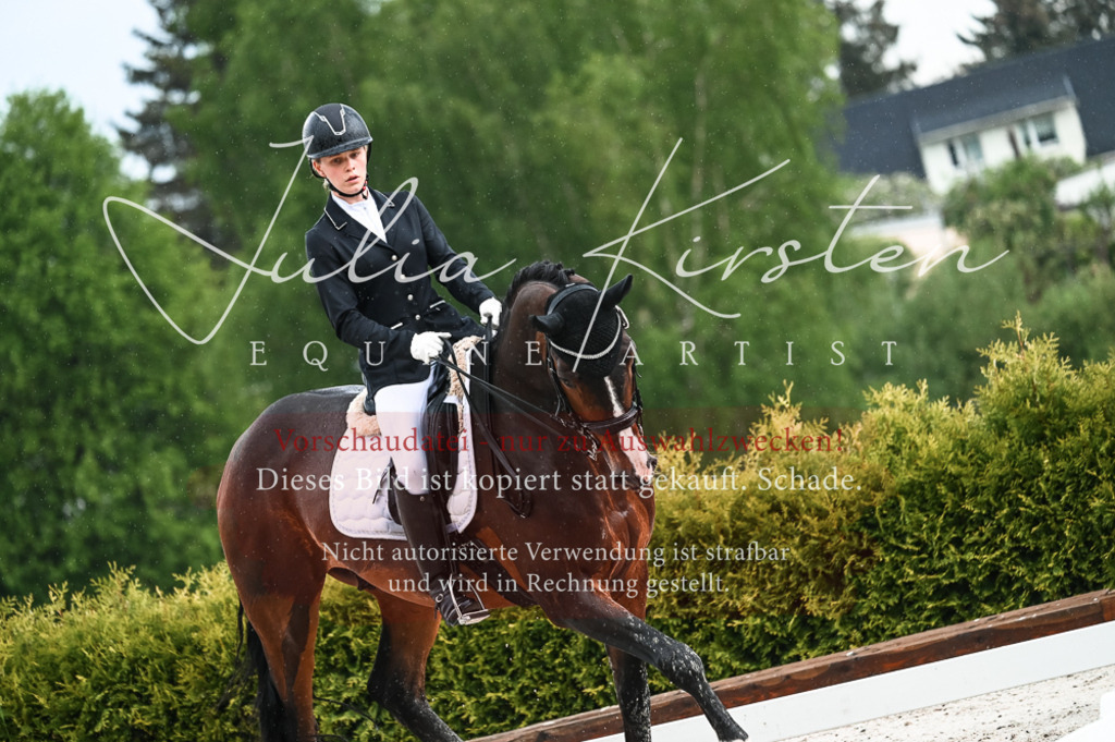 DSC_4153 | Pferde- und Turnierfotografie in Westsachsen. Pferdeportraits, Auftragszeichnungen und intuitive Kunst.