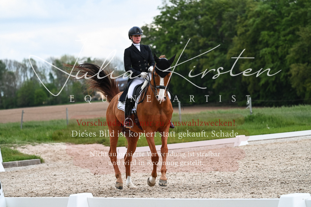 20230513_JK-Röhrsdorf-13-564 | Pferde- und Turnierfotografie in Westsachsen. Pferdeportraits, Auftragszeichnungen und intuitive Kunst.