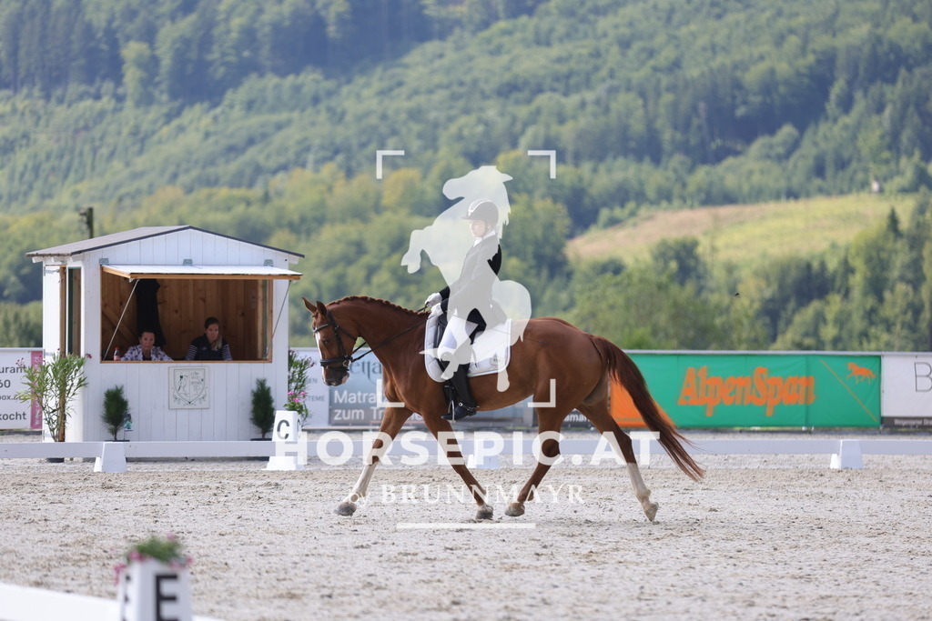 0P6A8975 | Willkommen bei Brunnmayr - Design & Fotografie – Ihrem Spezialisten für Reitturniere und Pferdeveranstaltungen in Oberösterreich, Salzburg und Bayern! Seit über 17 Jahren sind wir leidenschaftlich dabei.