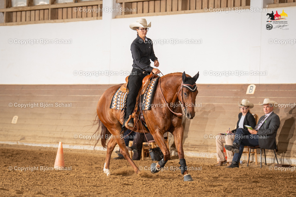 LMS06530 | BS-foto