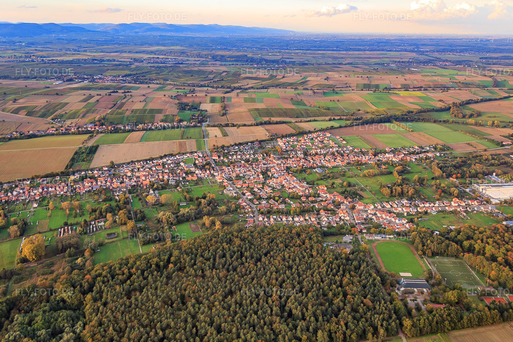Luftbild: Dorfansicht zwischen herbstlichen Feldern und Wiesen am Rand des Bienwalds von Süden im Ortsteil Schaidt in Wörth im Bundesland Rheinland-Pfalz in Deutschland. Foto: IMG_074710.jpg vom 14.10.2014 durch Werner Riehm/FLY-FOTO.de