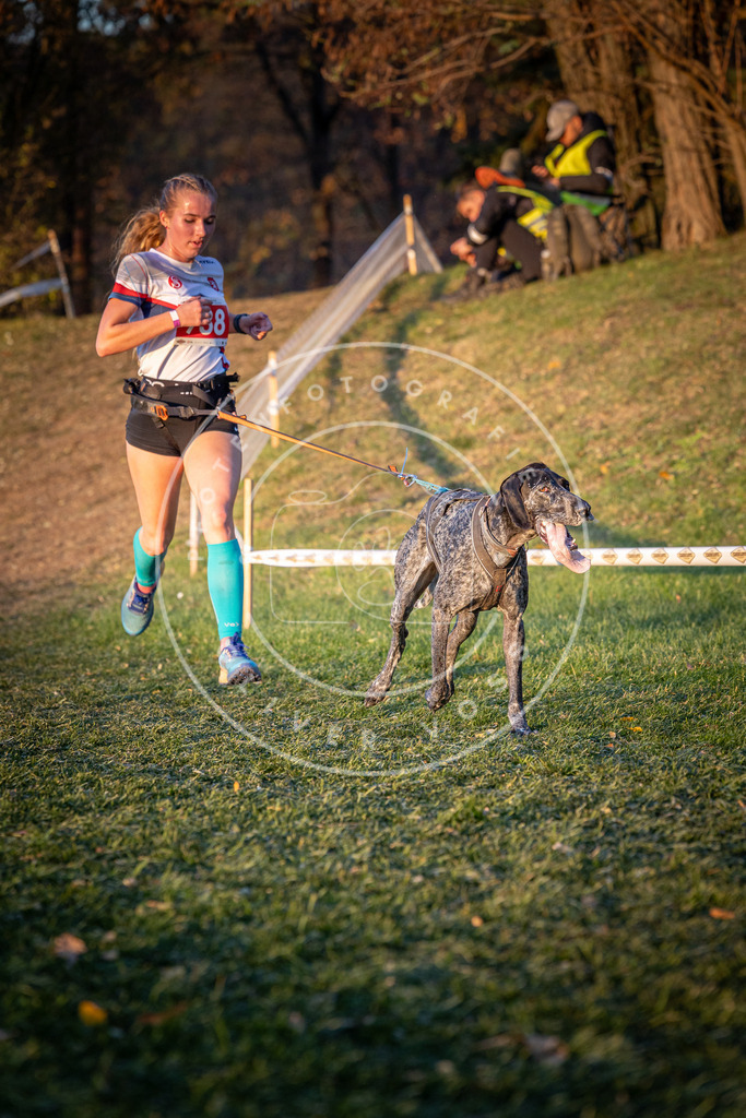 CaniXpix_0L8A1833 | Hundefotografie, Tierfotograf, Pfotenfotografie, Fotoshooting Hund, Hunde Portrait, Hundesport, Hundeportraits, Heideshooting, Hunde, Sportfotograf, Hundefotograf, Turnierhundsport, THS,  - Realisiert mit Pictrs.com