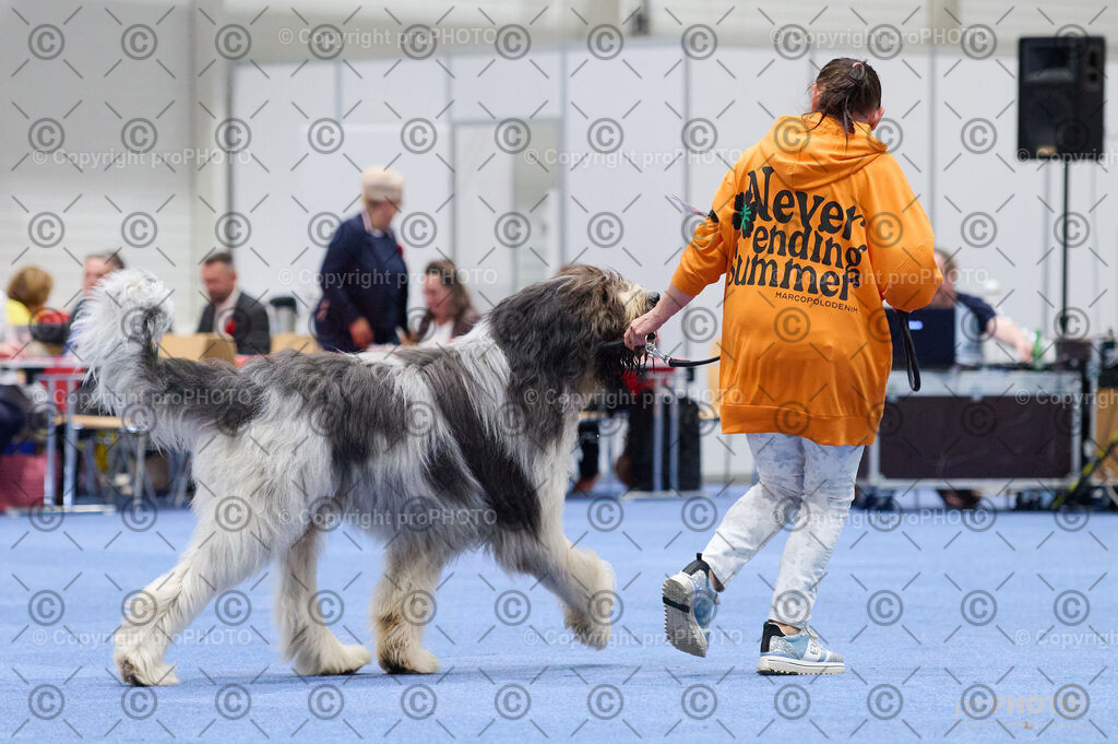 202406_ÖKV-IHA-Tulln24_DSC_2869 | proPHOTO - Realisiert mit Pictrs.com