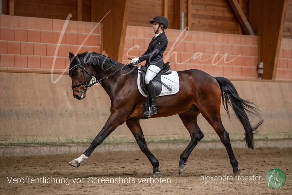 250405_Barop_00_078 | farbklaex.com