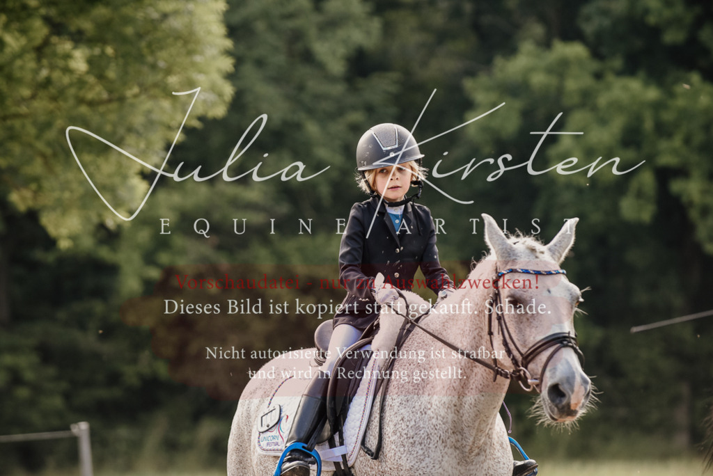 DSC_8368 | Pferde- und Turnierfotografie in Westsachsen. Pferdeportraits, Auftragszeichnungen und intuitive Kunst.