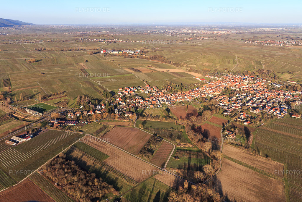 Luftbild: Ortsansicht von Westen in Göcklingen im Bundesland Rheinland-Pfalz in Deutschland. Foto: IMG_130621.jpg vom 23.02.2022 durch Werner Riehm/FLY-FOTO.de