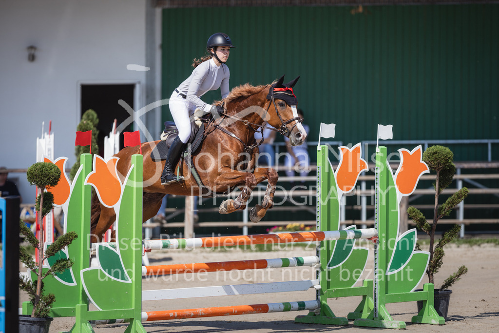 230625_PfSpTa_A2-Stil-208 | Deine schönsten Turniermomente als professionelle Fotos! Entdecke hochwertige Pferdesport-Fotografie im Online-Shop. Jetzt Fotos finden & bestellen!
