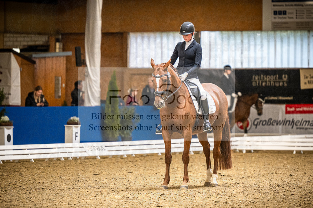 DOS_3101 | Entdecke hochwertige Reitturnierfotos von Foto Oger. Professionell, emotional und authentisch – jetzt Lieblingsmomente im Shop bestellen.Deutschlandweite Turnierfotografie. - Realisiert mit Pictrs.com