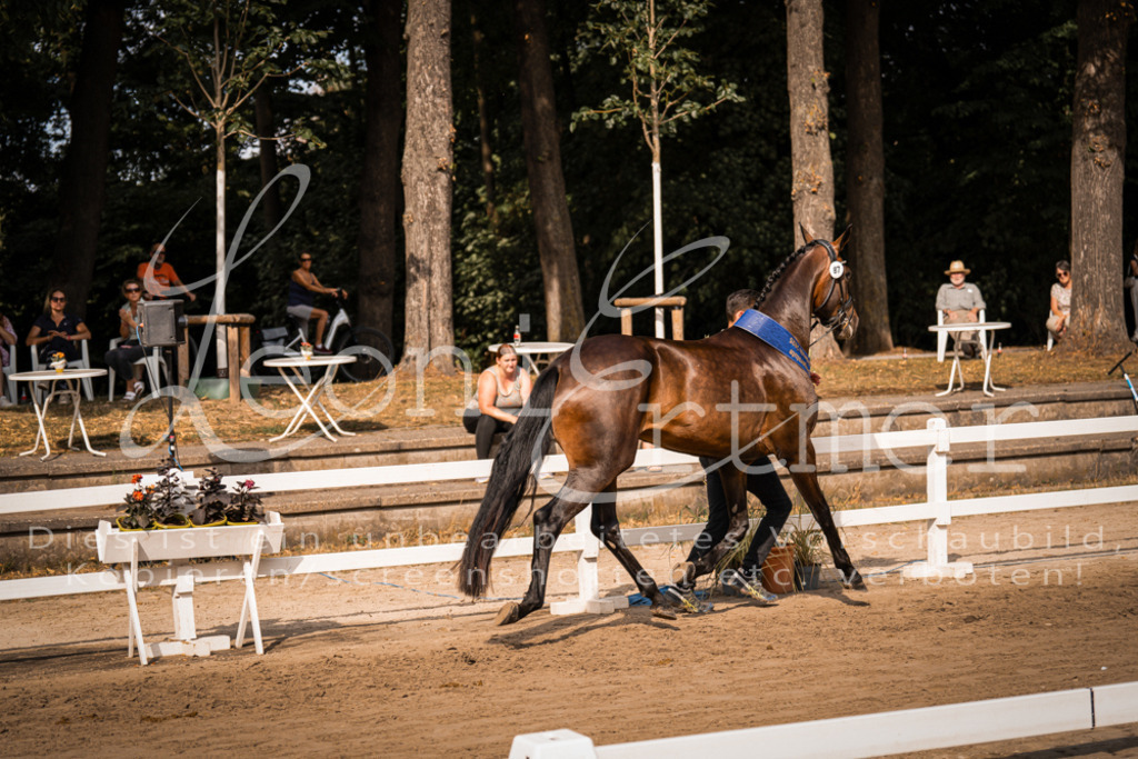 FrER00249 | Leoni Ertmer Photography - Realisiert mit Pictrs.com