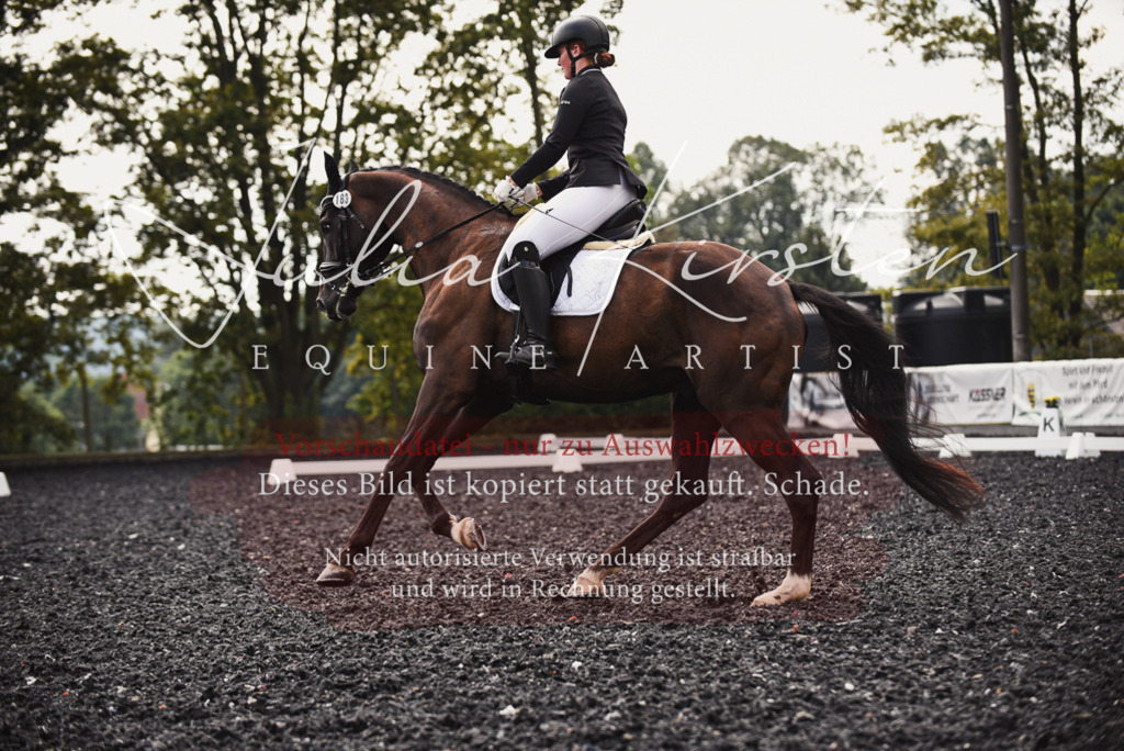 DSC_3724 | Pferde- und Turnierfotografie in Westsachsen. Pferdeportraits, Auftragszeichnungen und intuitive Kunst.