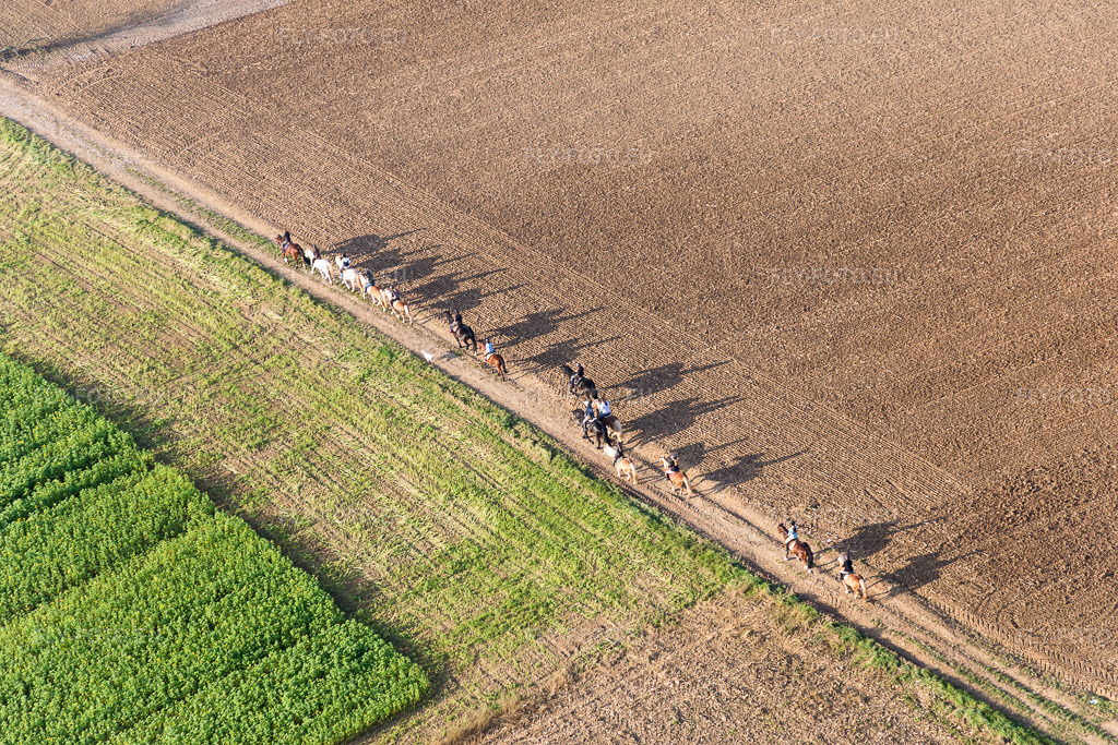Vue aérienne: Groupe de cavaliers sur un chemin de campagne à Wintzenbach à Mothern dans le département Bas Rhin, France. Photo: IMG_075734.jpg prise le 01/11/2014 par Werner Riehm/FLY-FOTO.eu – Résolution de l'original: 5472 x 3648 px