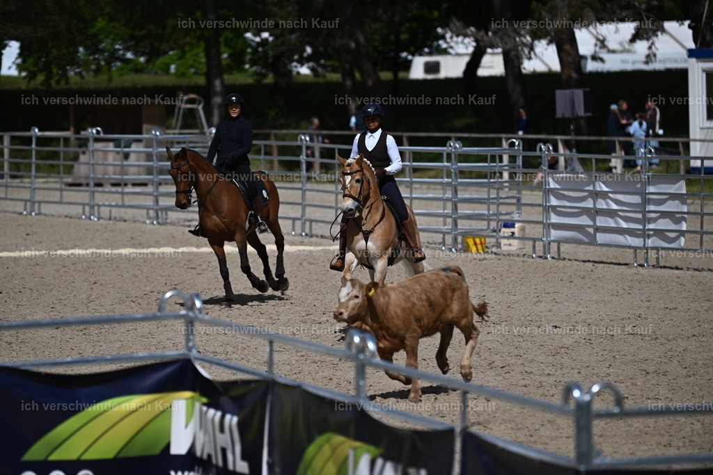 PI26_COW_Sara Landvogt226_7367.JPG | working equitationturnier fotograf videograf stoibphotography marixx film working equitation deutschland reitsport turnierfotografie eventfotografie equestrian events