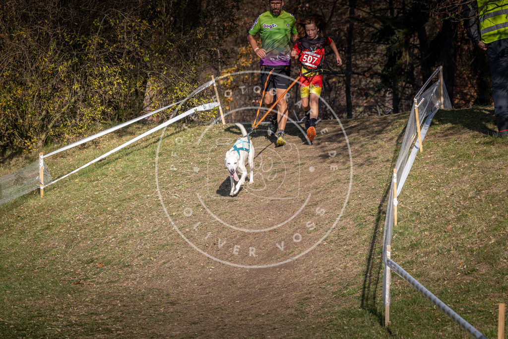 CaniXpix_0L8A8421 | Hundefotografie, Tierfotograf, Pfotenfotografie, Fotoshooting Hund, Hunde Portrait, Hundesport, Hundeportraits, Heideshooting, Hunde, Sportfotograf, Hundefotograf, Turnierhundsport, THS,  - Realisiert mit Pictrs.com
