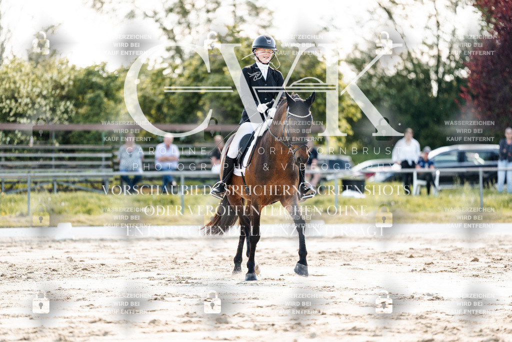 CK909505 | Turnierfotografie Pferdefotografie Trier Rheinland-Pfalz Pferdesport Reitsport Tierfotografie Sportfotografie Pferdevideo Pferdevideografie Equestrianvideography equestrianphotography  - Realisiert mit Pictrs.com