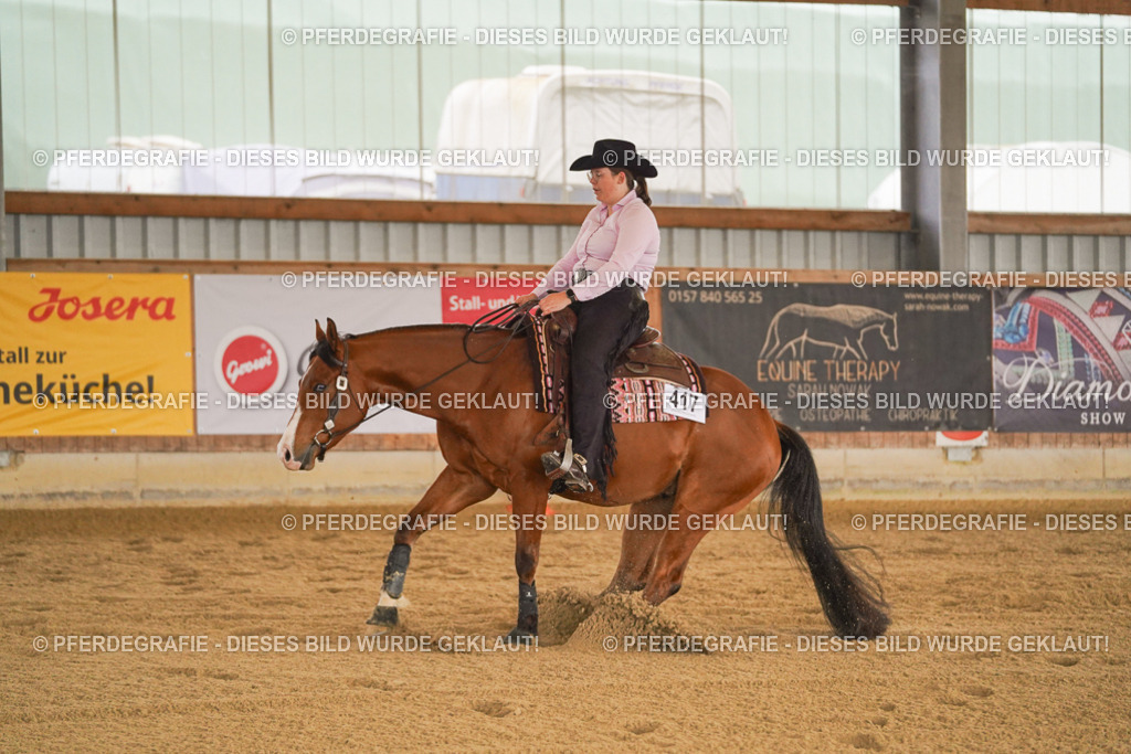 DSC00222 | Pferdegrafie