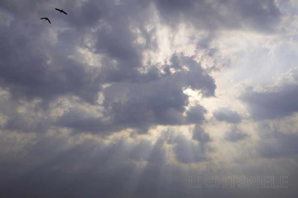 Freiheit | Wolken, Licht und Vögel - Realisiert mit Pictrs.com