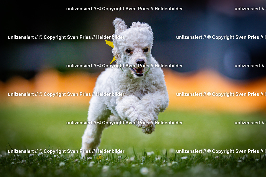 Sven Pries | 2025-05-29 - Pudelrennen KA-Durlach - Realisiert mit Pictrs.com