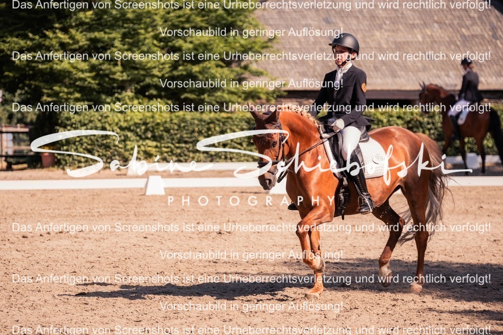 2025_05_31_DSCF2981 | People- und Tierfotografie, Imageaufnahmen, Veranstaltungsfotografie und Wandbilder aus der Natur ★ Made in Germany ✔️ Druck + Downloads ✔️ Naturfotografie in Top Qualität ★ schneller Versand, weltweite Lieferung! - Realisiert mit Pictrs.com