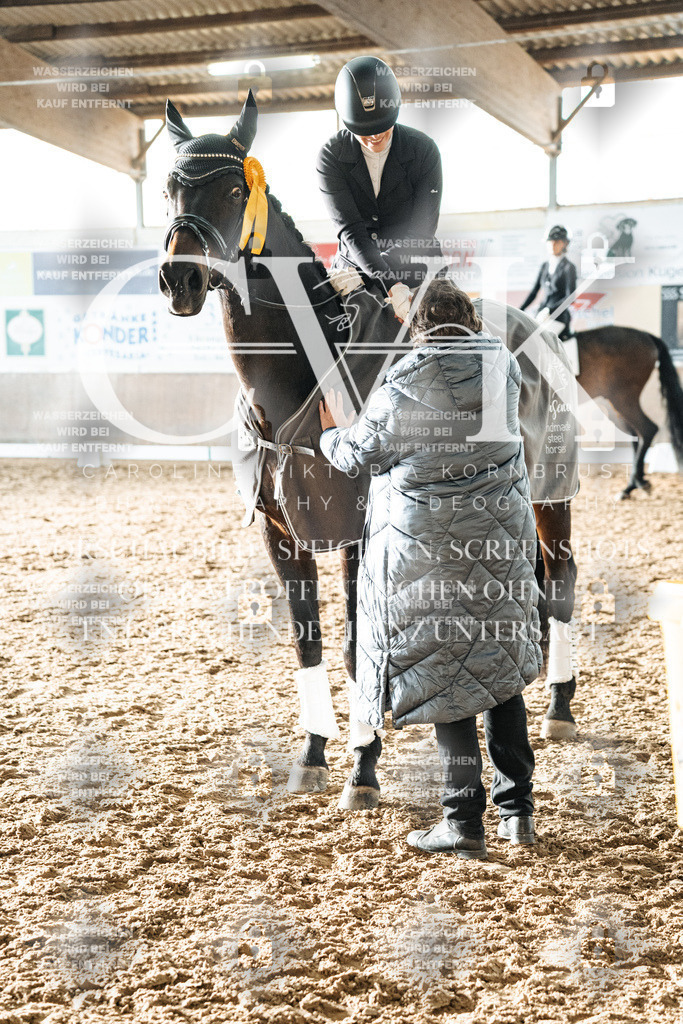 CK703147 | Turnierfotografie Pferdefotografie Trier Rheinland-Pfalz Pferdesport Reitsport Tierfotografie Sportfotografie Pferdevideo Pferdevideografie Equestrianvideography equestrianphotography  - Realisiert mit Pictrs.com