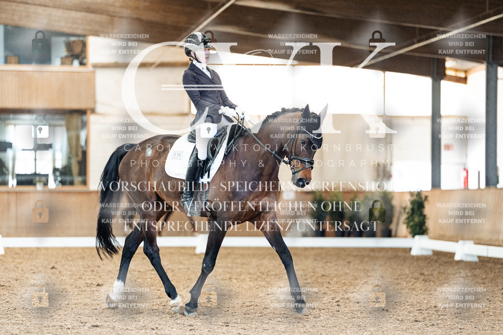 CK909231 | Turnierfotografie Pferdefotografie Trier Rheinland-Pfalz Pferdesport Reitsport Tierfotografie Sportfotografie Pferdevideo Pferdevideografie Equestrianvideography equestrianphotography  - Realisiert mit Pictrs.com