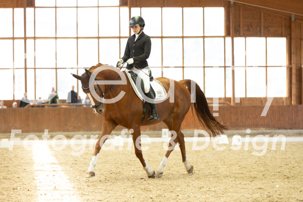 IMG_5899 | Creatify Fotografie