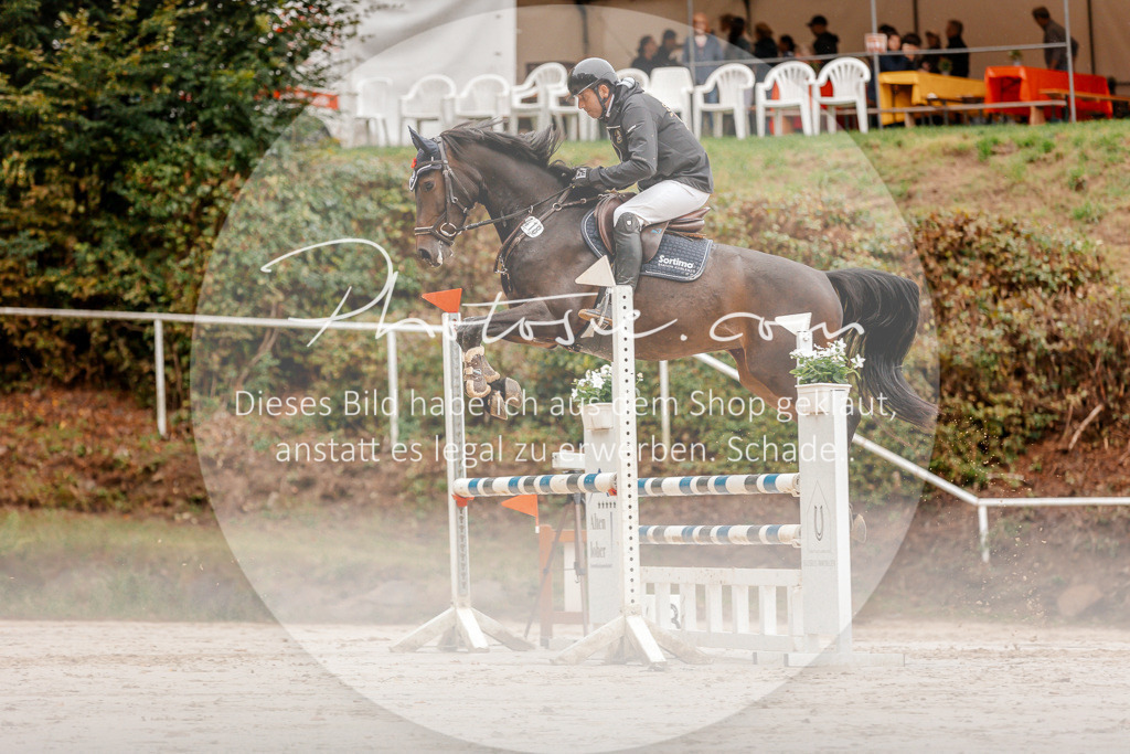 3I6A5878 | Stimmungsvolle Portraits und Reitsportfotografie im Ruhrgebiet und im Münsterland.

Pferdefotografie, Hundefotografie, Tierfotografie, Reportagen, Portraits von Tier und Mensch, Turnierfotografie in Bochum, Recklinghausen, Marl, Haltern am See, Dülmen.. - Realisiert mit Pictrs.com