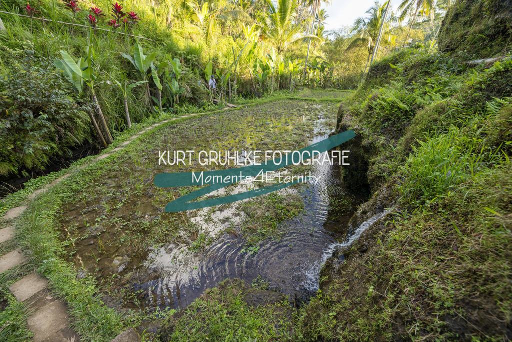 230720-1371 | onlinegalerie und Fotoshop Kurt Gruhlke Fotograf Berlin
Hochzeitsfotograf Eventfotograf Portraitfotografie
 - Realisiert mit Pictrs.com