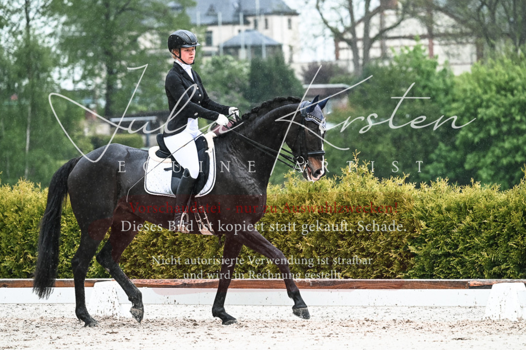 DSC_4505 | Pferde- und Turnierfotografie in Westsachsen. Pferdeportraits, Auftragszeichnungen und intuitive Kunst.